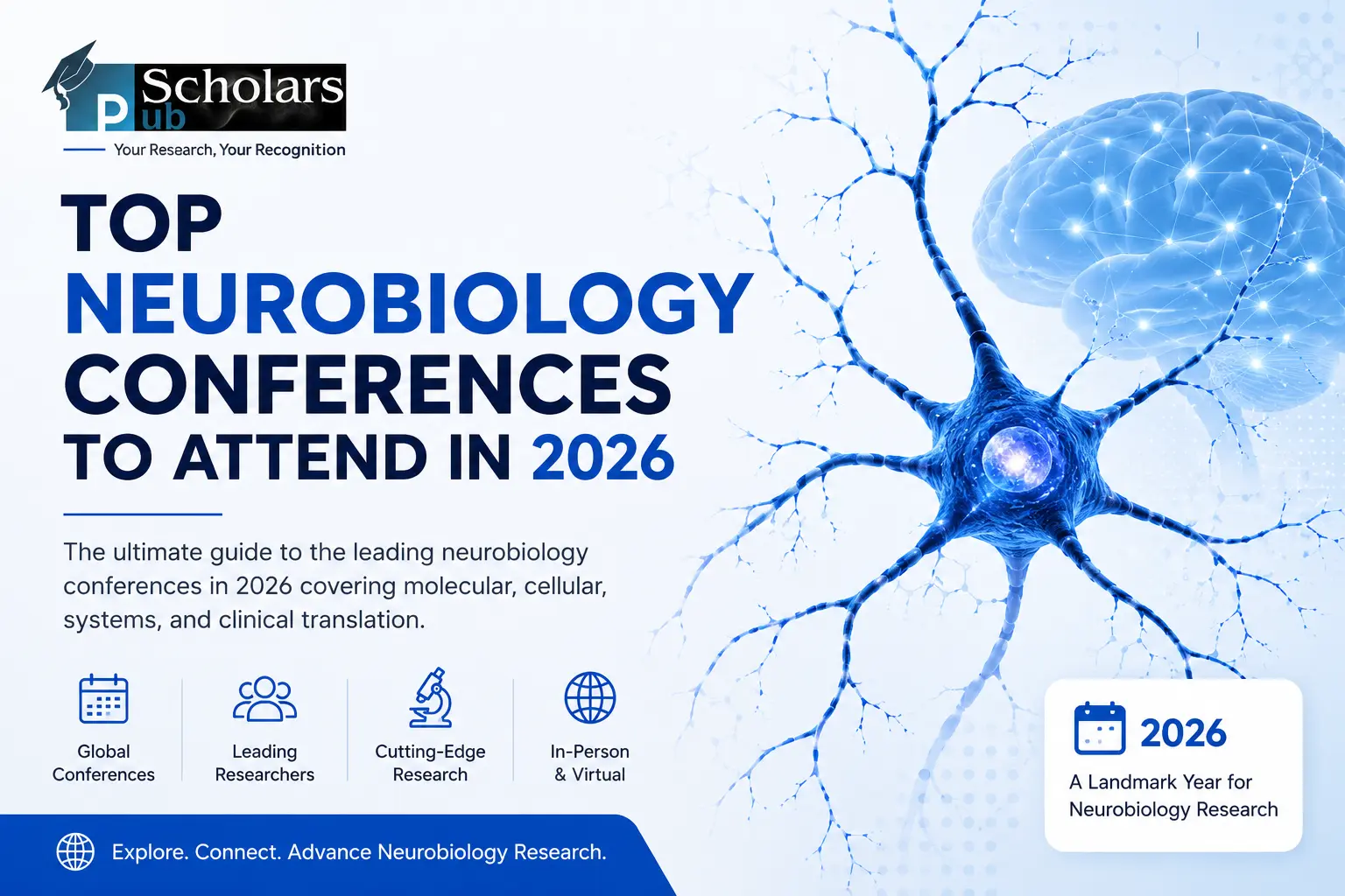 Top Neurobiology Conferences to Attend in 2026